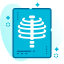 /assets/icons/special-ungravity-lineal/x-ray.png